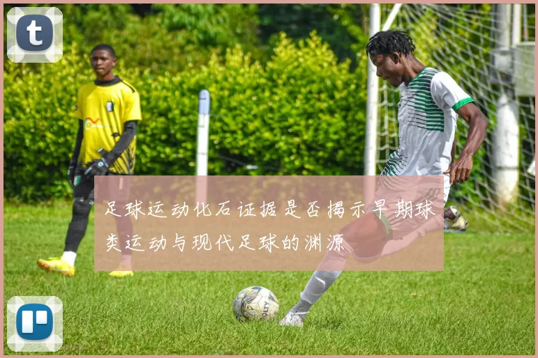足球运动化石证据是否揭示早期球类运动与现代足球的渊源