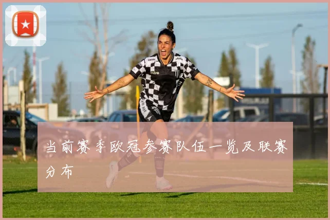 当前赛季欧冠参赛队伍一览及联赛分布