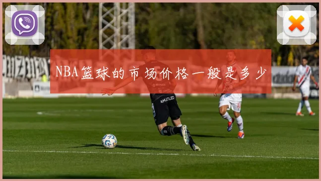 NBA篮球的市场价格一般是多少
