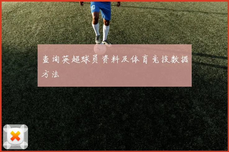 查询英超球员资料及体育竞技数据方法