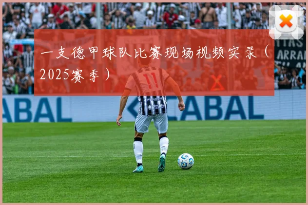 一支德甲球队比赛现场视频实录（2025赛季）