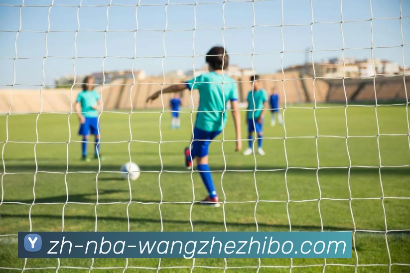 王者体育平台生态图