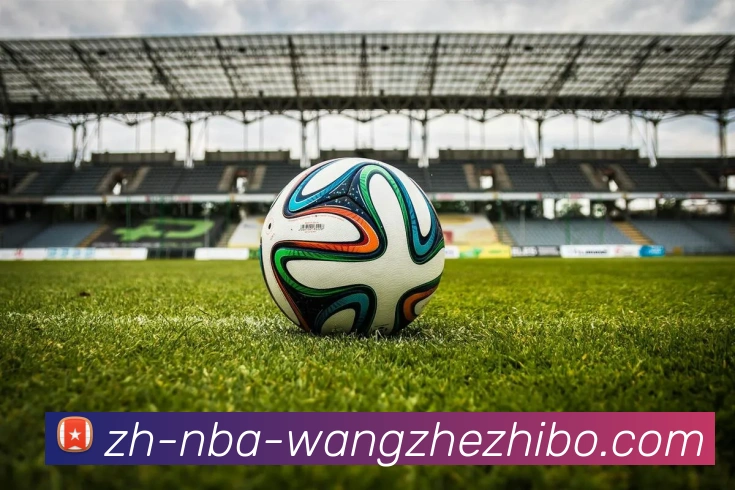 王者体育全站App